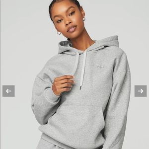 Alo Accolade Hoodie in grey NWT